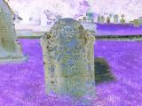 image of grave number 388943